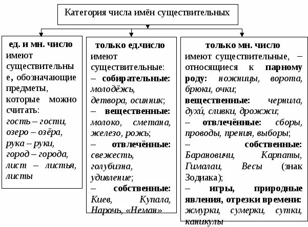 Категория числа имен существительных таблица. Категория числа имен существительных в русском. Особенности категории числа существительных. Особенности категории числа имен существительных. Категории существительных в русском языке