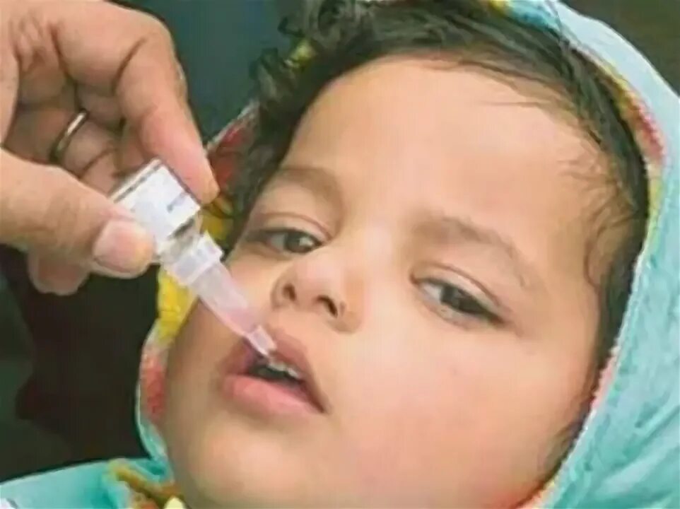Ребенок умер от прививки от полиомиелита. Капельки от полиомиелита. Профилактика полиомиелита фото. Как капают капли от полиомиелита детям.
