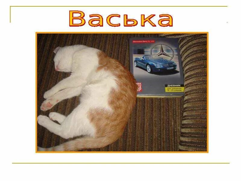 Васька упал. Васька. журнал кот васька. васька, братишка!. васька бир.