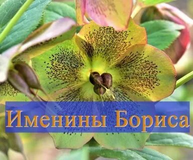 13 мая имя