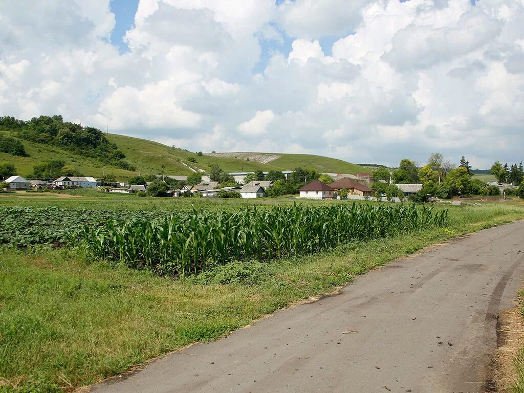 Равнины белгородской области. Карта белгородской области с районами. Первые шагают по региону белгородская область. Село колотиловка краснояружского района белгородской области. Первые шагают по региону белгородская область.