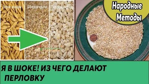 Из чего делают перловую кашу