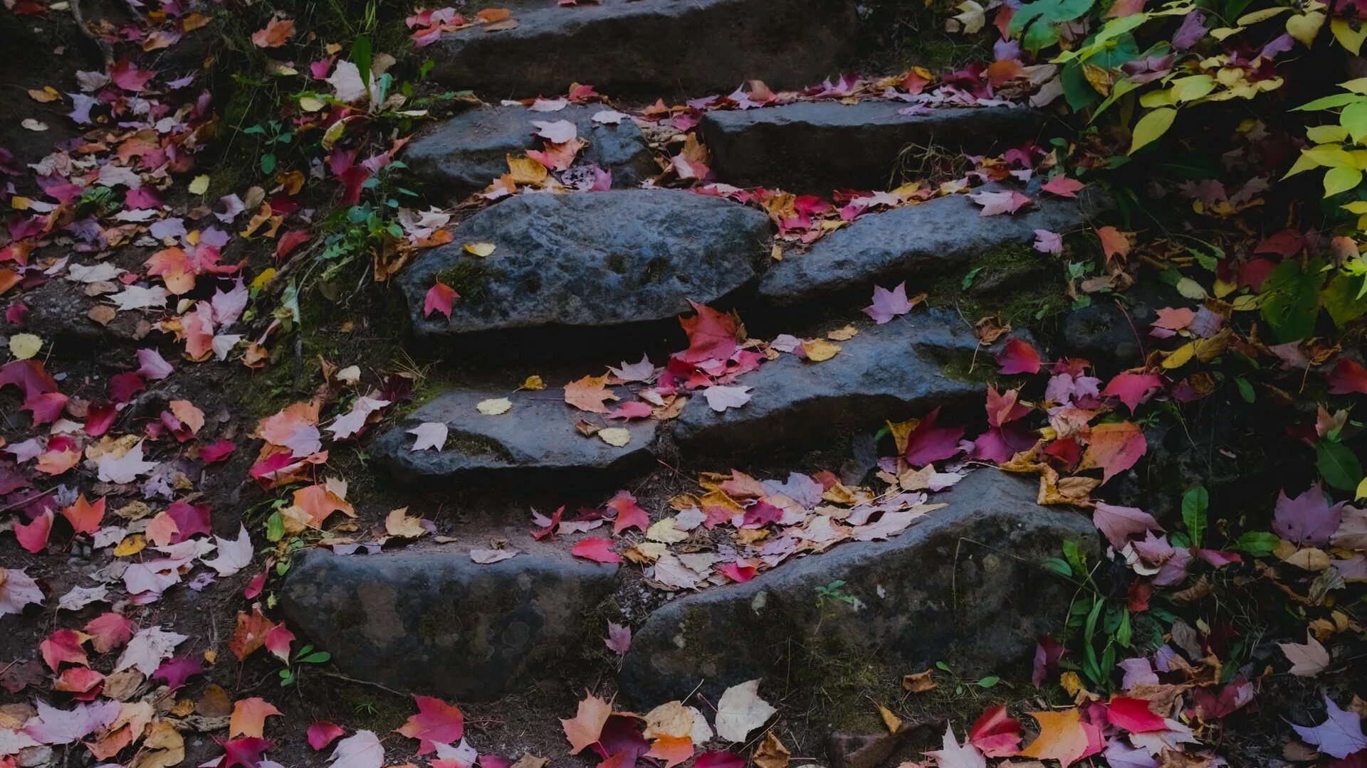 Stone fall. Тропинка из камня осень. Тропинка с каменными розами. Храмы в Грузии тропинка из камней. Красивые обои осень.