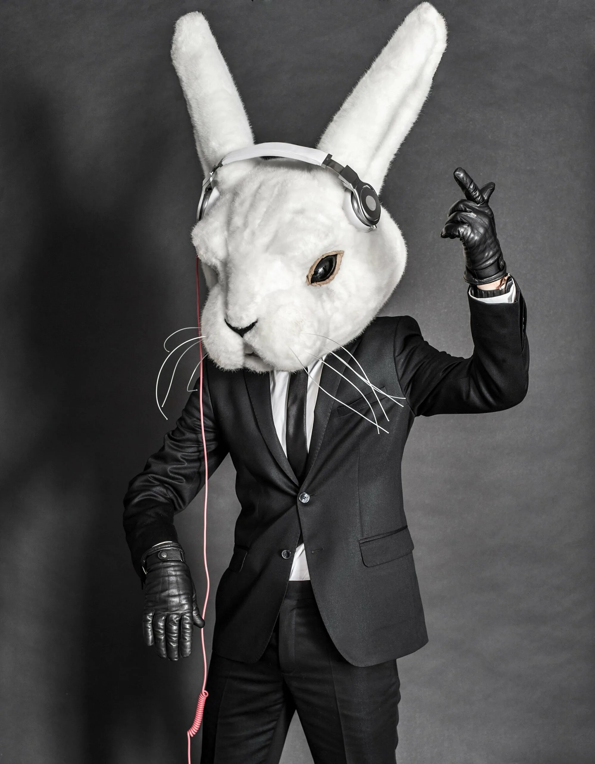 Кролик аватарка. Белый кролик Misfits. Рэббит Дж. Белый кролик отбросы. Костюм зайца.