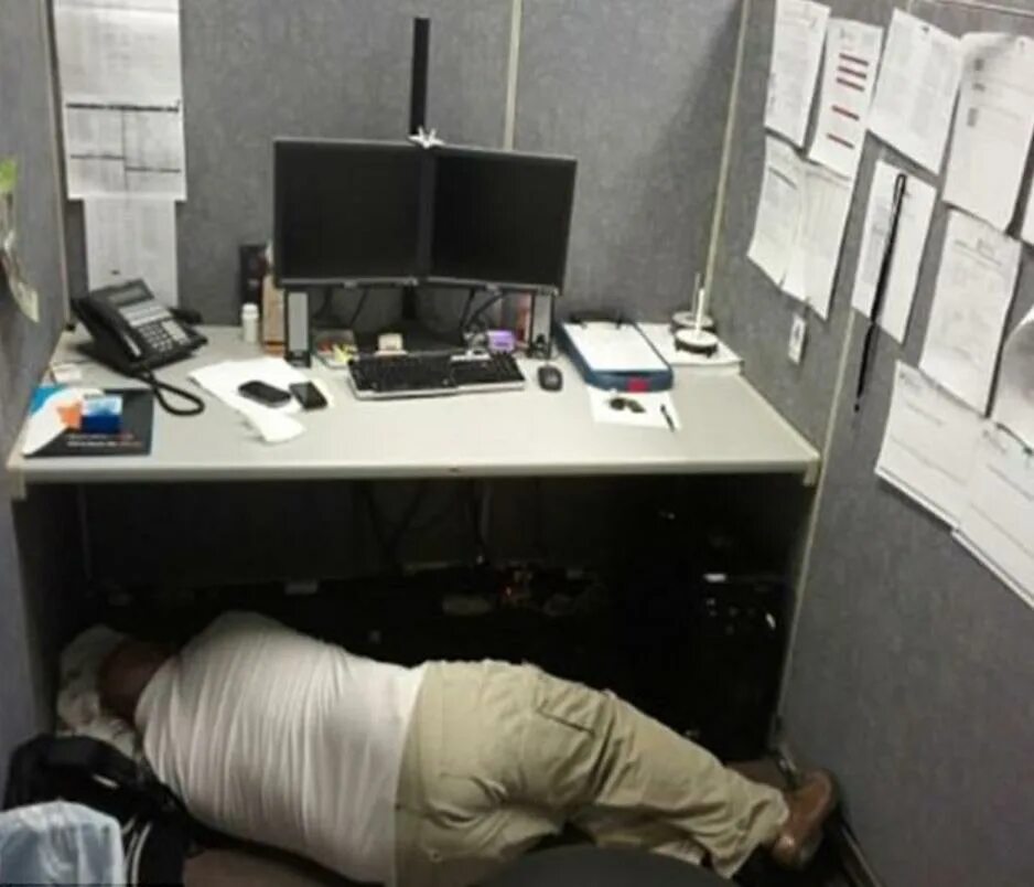 Тихий час на работе. Уснул на рабочем месте. Рабочее место прикол.