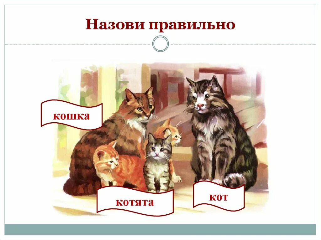 Кошка зовет малышей. " Назови семью"кошка. Назови правильно кошку. Игровое занятие кошка с котятами. Тематическая неделя кошка и котята.