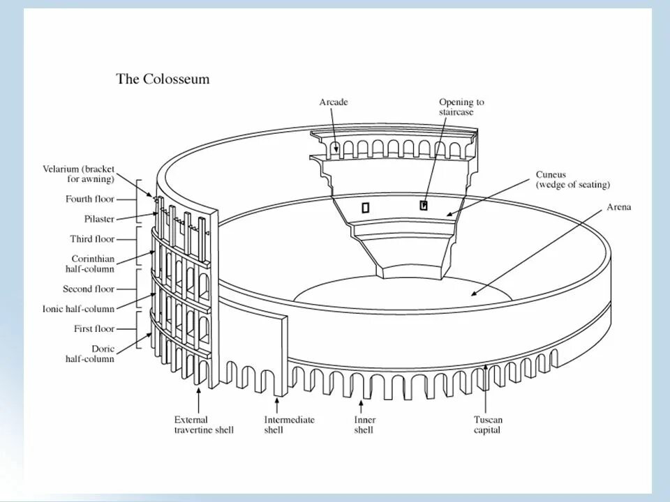 Генератор колизея. Театр древнего Рима схема. Театр Марцелла в Риме чертежи. План театра древнего Рима. Колизей в Риме план строения.