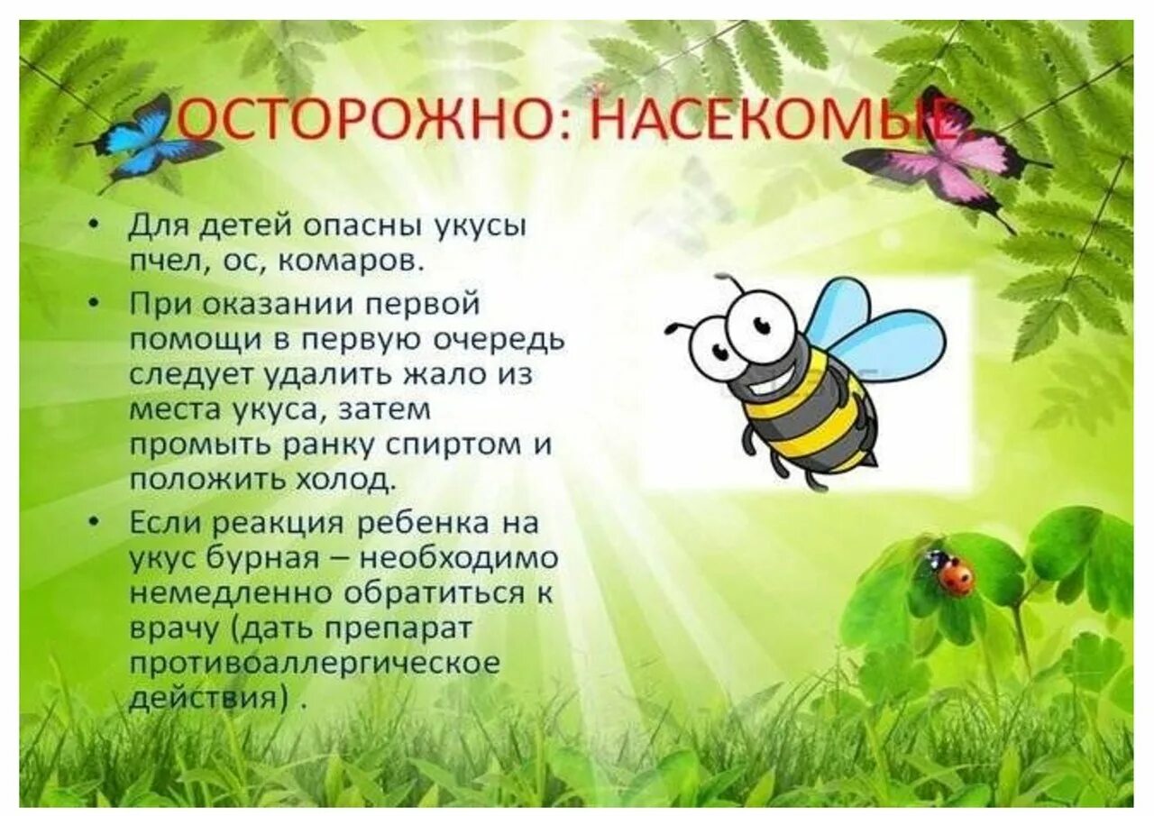 Разговор с пчелой