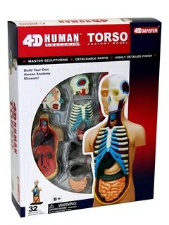 4d master