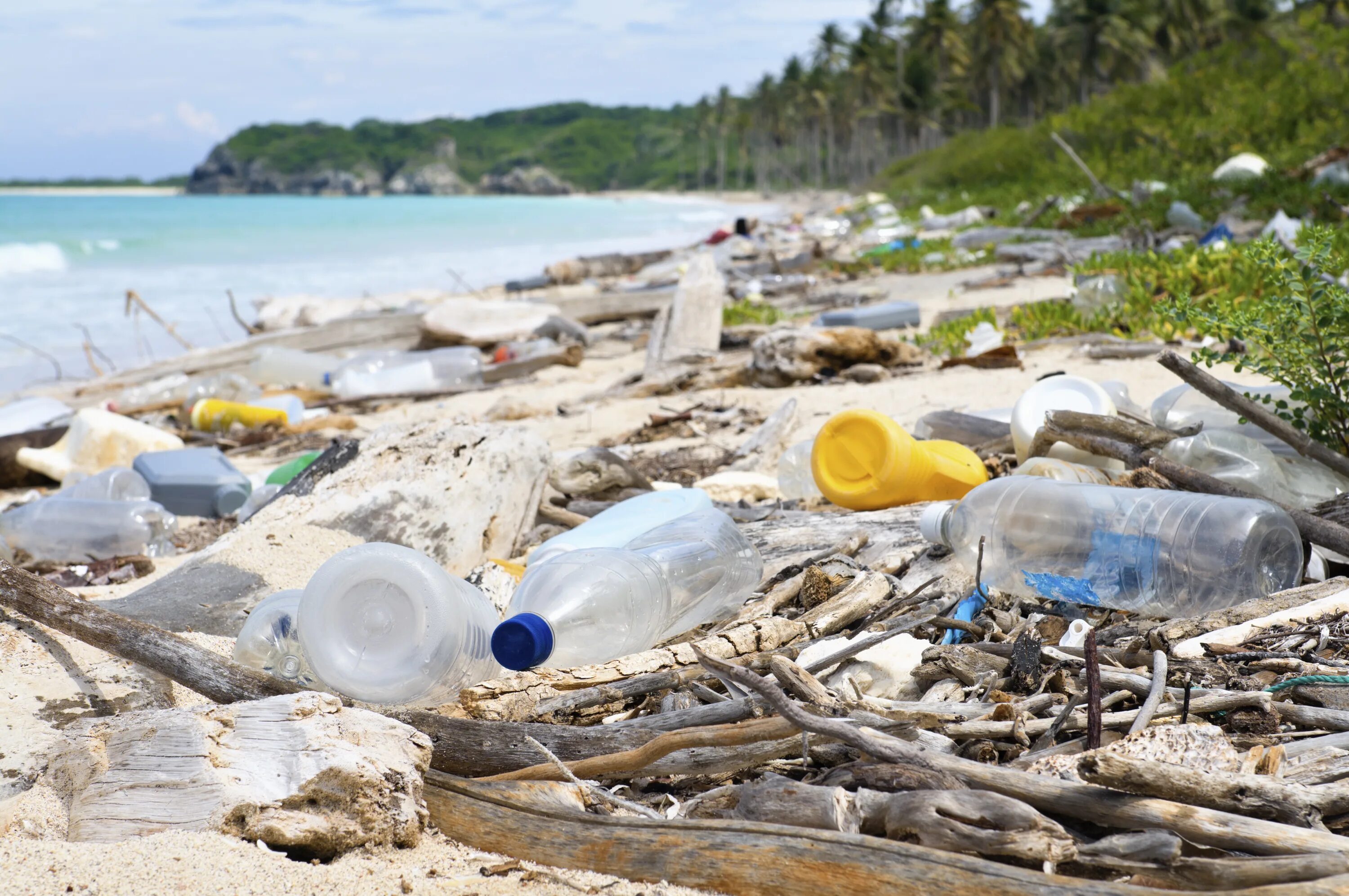 Пластиковые бутылки в природе. Пластиковое загрязнение. Загрязнение воды пластиком. К чему приводит загрязнение окружающей среды