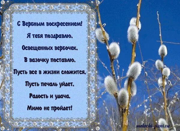 Вербное воскресенье поздравления. С Вербным воскресеньем открытки. Вербное воскресенье стихи. Поздравить с Вербным воскресеньем. Четверостишье воскресенье