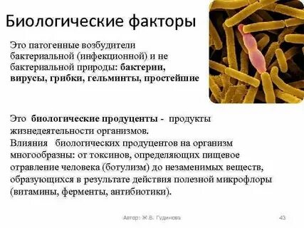 Патогенные факторы вирусов