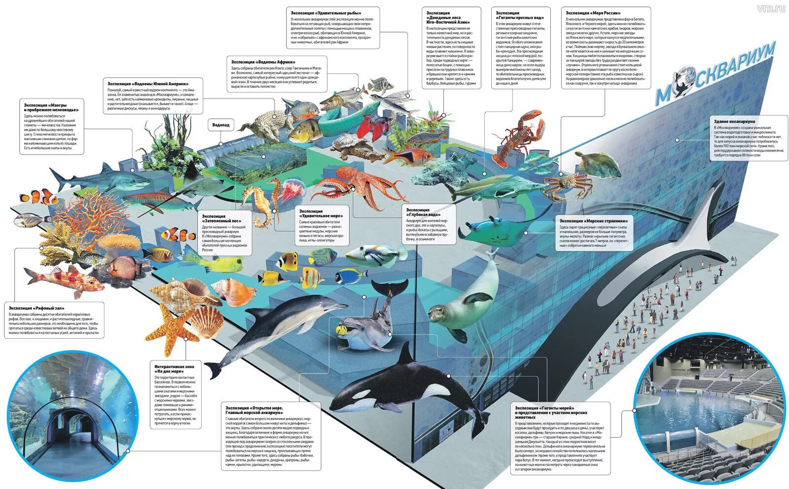 Океанариум схема. Схема зала океанариума на ВДНХ. Схема Москвариума на ВДНХ. Океанариум ВДНХ план. Океанариум Москва ВДНХ на карте.