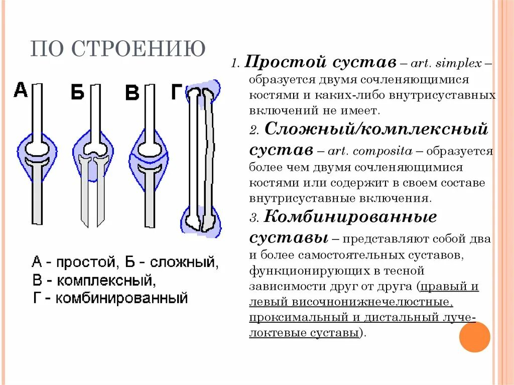 Простые сложные комплексные и комбинированные суставы. Простой и сложный сустпу. Простые суставы примеры. Суставы простые сложные комбинированные.