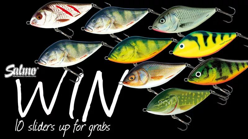 салмо слайдер 10f. салмо раттлин хорнет н4. упаковка для воблера. салмо бай. салмо слайдер.