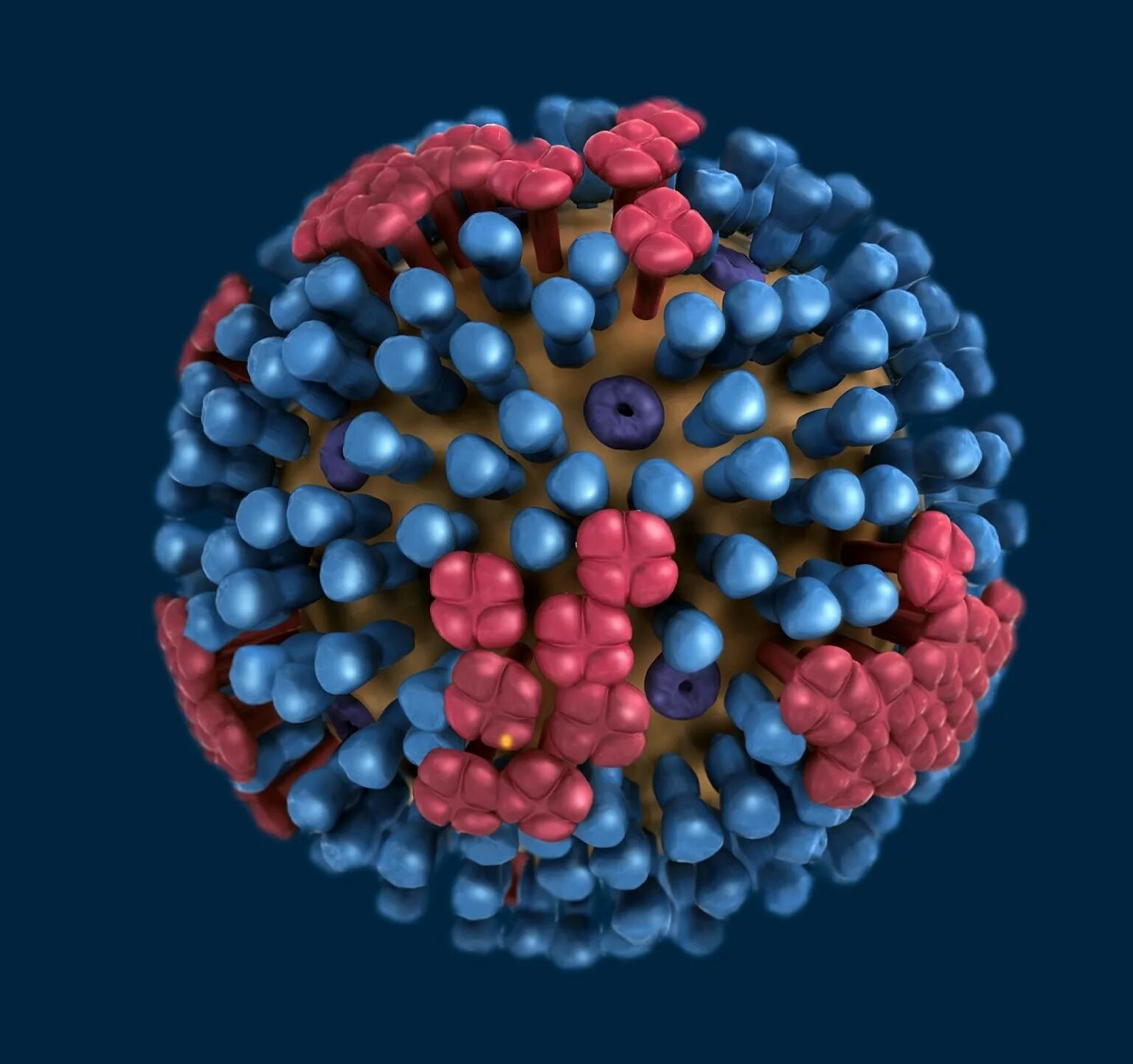 Вирусы гриппа d. Вирус h1n1. Птичий грипп h1n1. Вирус гриппа h3n2. Молекула гриппа.