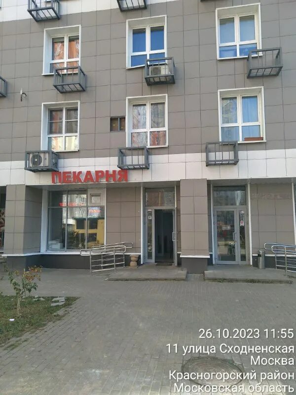 образцово путилково управляющая