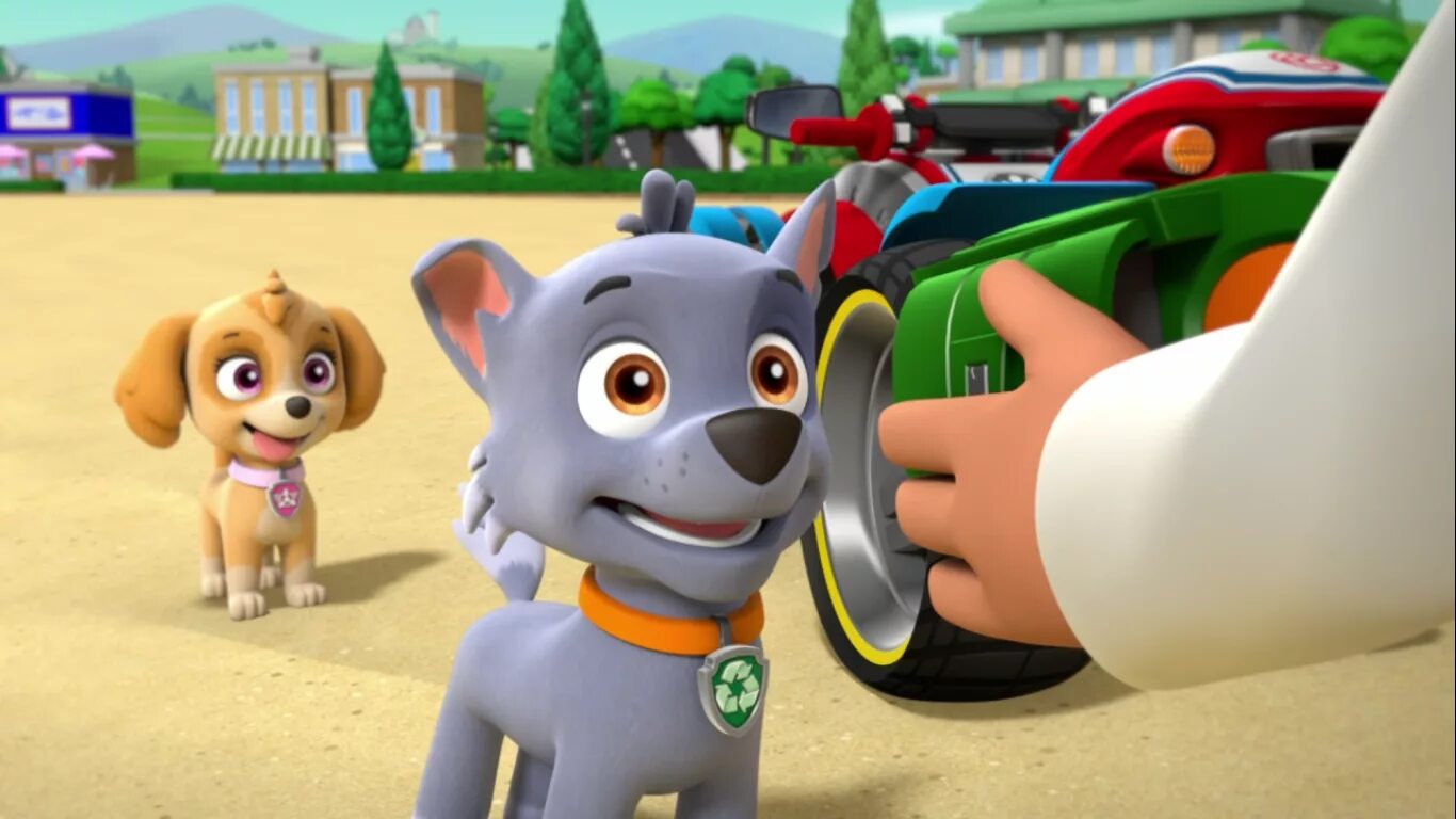 Щенячий патруль Гав. Paw Patrol Air pups. Щенячий патруль. Рокки. Щенячий патруль операция гав