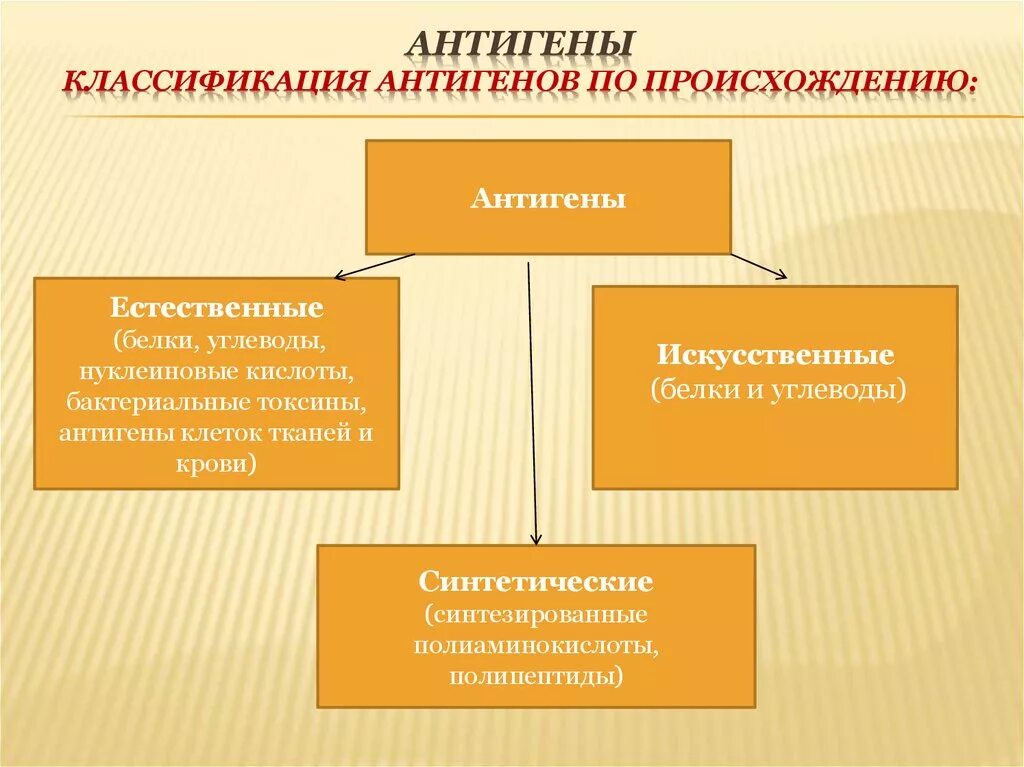 Классификация антигенов. Классификация антигенов по происхождению. Антигены подразделяются на:. Схему классификации антигенов по разным признакам..