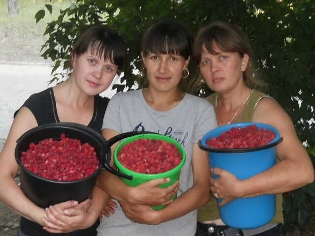 Проститутки Город Волжск Марий Эл