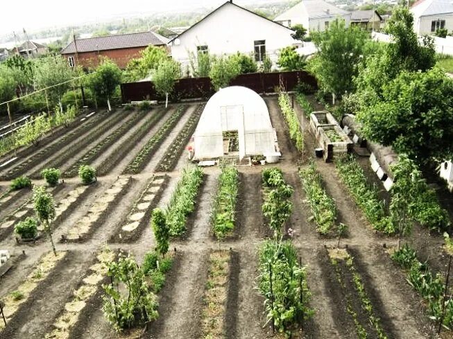 Грядки по сторонам света как правильно. Расположение грядок на даче. Теплица в огороде. Планировка огорода. Благоустройство огорода.