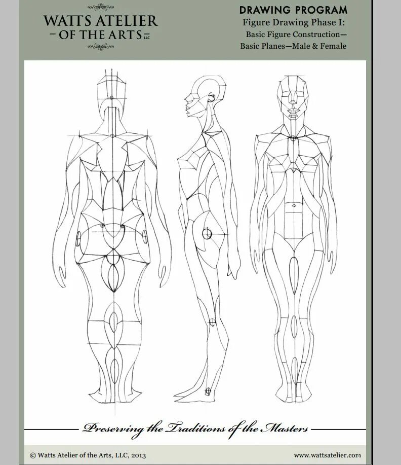 Body method. Reilly method body. reilly rhythms. система тех рисунок арт. reilly method of body drawing.