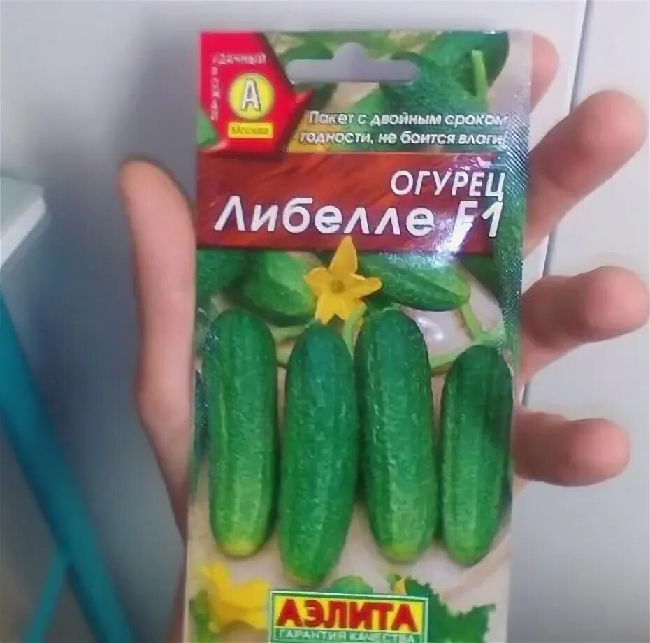 Огурцы сорт либелла. Огурец либелле ф1. картофель либелла. огурец либелле 12шт/20.