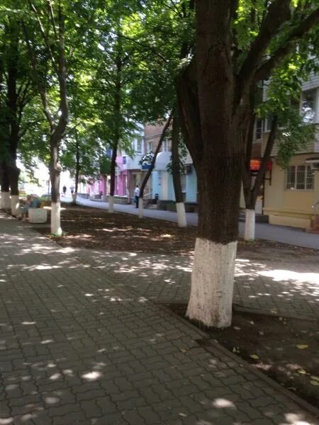 Кирова 7 батайск. Кирова 7 батайск. Кирова 4 батайск. Кирова 45 батайск. Аптека 61 плюс батайск.