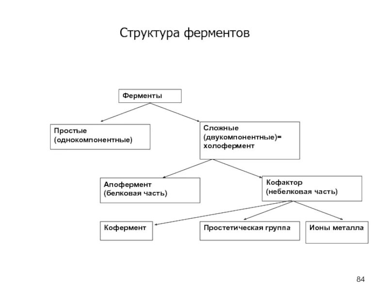 Какая структура у ферментов. Строение ферментов простетическая группа. Структурная организация ферментов. Структура простых ферментов. Белковая структура фермента.