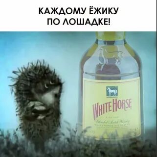 Каждый день пьян