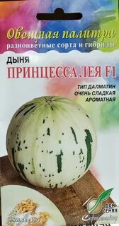 Дыня принцесса