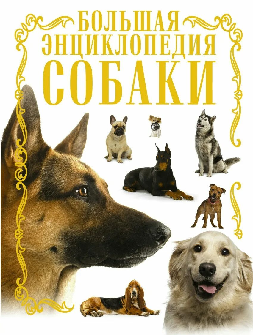 Книги о собаках отзывы. Большая энциклопедия собаки Барановская. Книги про собак. Большая энциклопедия. Собаки.