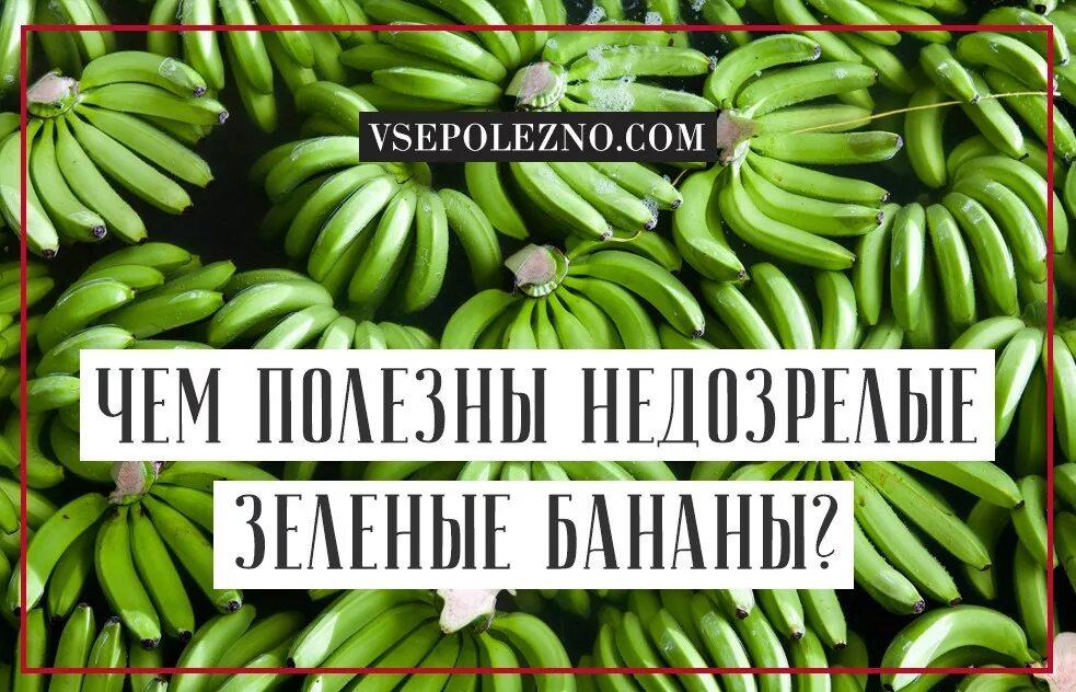 Какие бананы полезнее зеленые или. Польза зеленых бананов. Зеленые бананы полезнее. Полезны ли зеленые бананы. Чем полезны зеленые бананы.