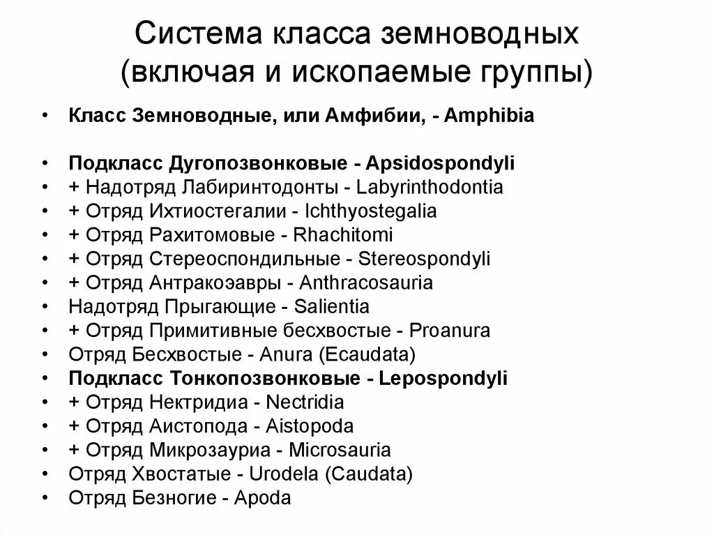 Класс земноводных классификация. Подкласс класса земноводные. систематика амфибий. систематика земноводных. систематика класса амфибии.