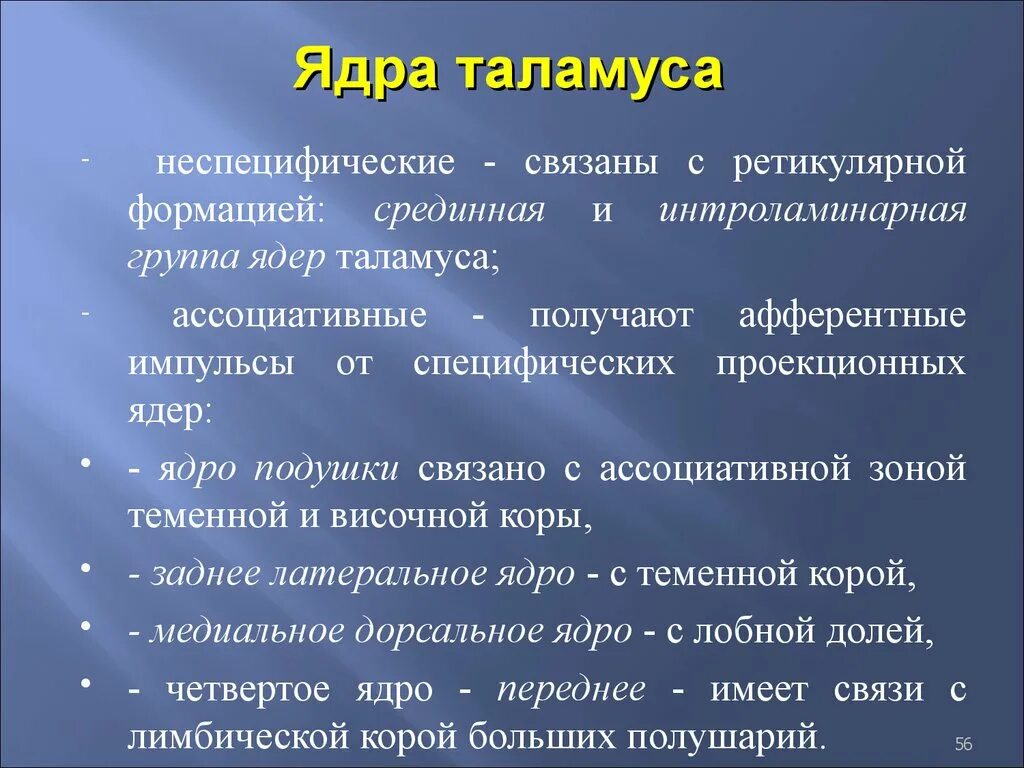 Специфические ядра таламуса функции. Схема расположения ядер таламуса. Классификация и функции ядер таламуса. Функции ядер промежуточного мозга. Специфические и неспецифические ядра таламуса.
