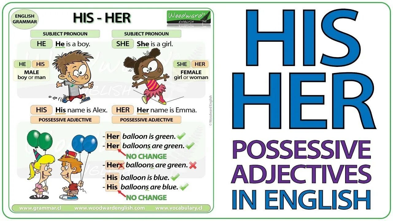 Her his name s. Possessive adjectives в английском. Woodward pronouns. His & hers. Possessive adjectives in English.