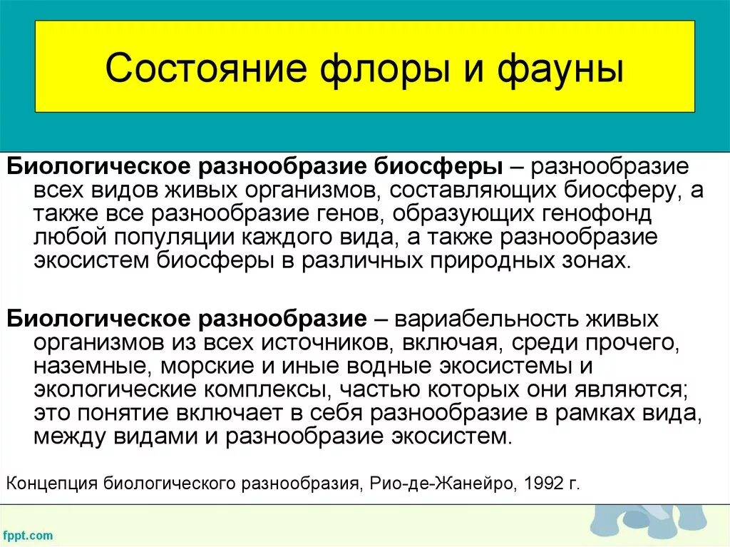 Состояние микрофлоры. Современное состояние Флоры и фауны. Изменение Флоры и фауны. Изменение Флоры и фауны России таблица.