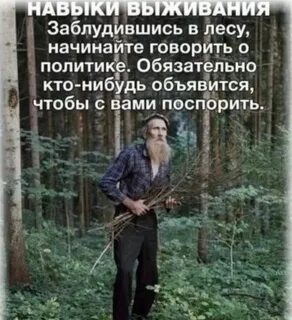 В каком лесу лучше жить