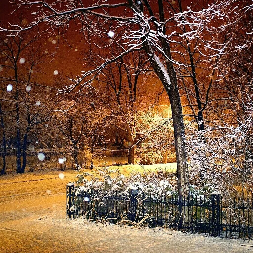 Красивая ноябрьская ночь. Первый снег. Ранняя зима в городе. Поздняя зима. Вечерний зимний парк.