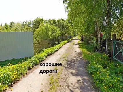 Садоводство красный октябрь санкт петербург