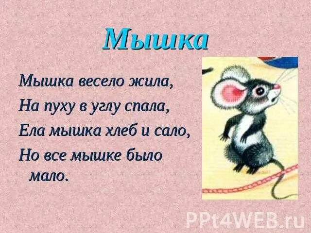 Мышь предложения. Стих про мышь. Стихотворение про мышку. Стихи про мышей для детей. Стишки про мышку.