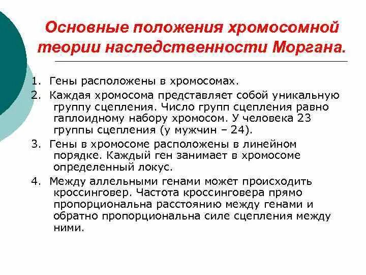 Количество групп сцепления равно. Основные положения теории наследственности Моргана. Основные положения хромосомной теории наследственности. Основные положения хромосомной теории наследования. Положения хромосомной теории наследственности Моргана.