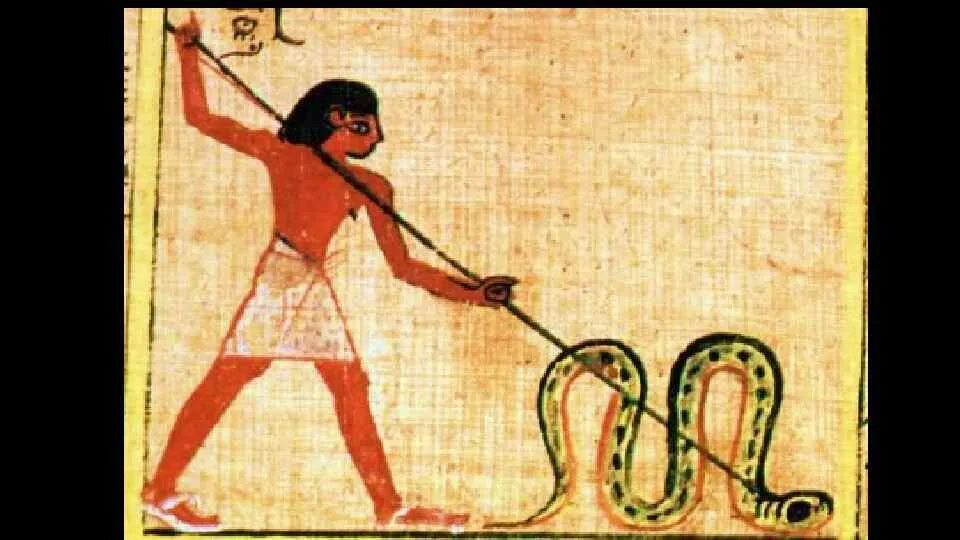Враг бога ра. Змей Апоп в древнем Египте. Египетская мифология Апоп. Бог Апофис в древнем Египте. Древние боги Египта Апоп.