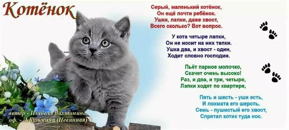 Стихи про котят. Стих про котяру. Стих про кота. Стихотворениемпро кошку. День котов стихи