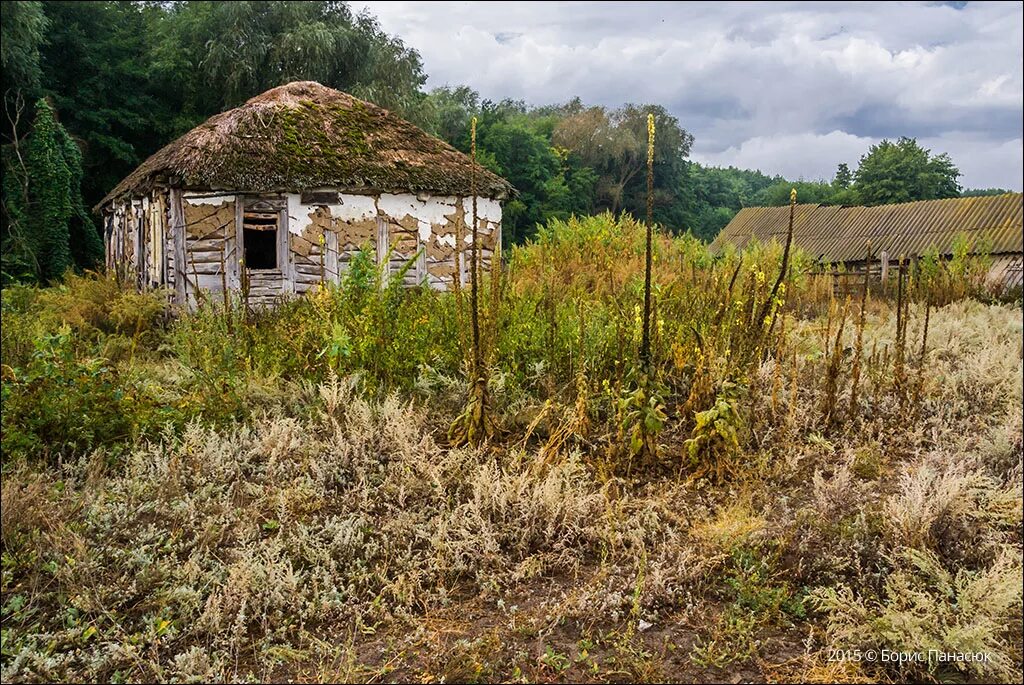 Вид хата. Хутора Ростовской области. Хутор Чиганакский. Заброшенные села, хутора Краснодарского края. Казачий курень станица Вешенская.