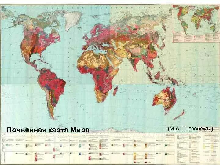 Почвенная карта школьного атласа дает