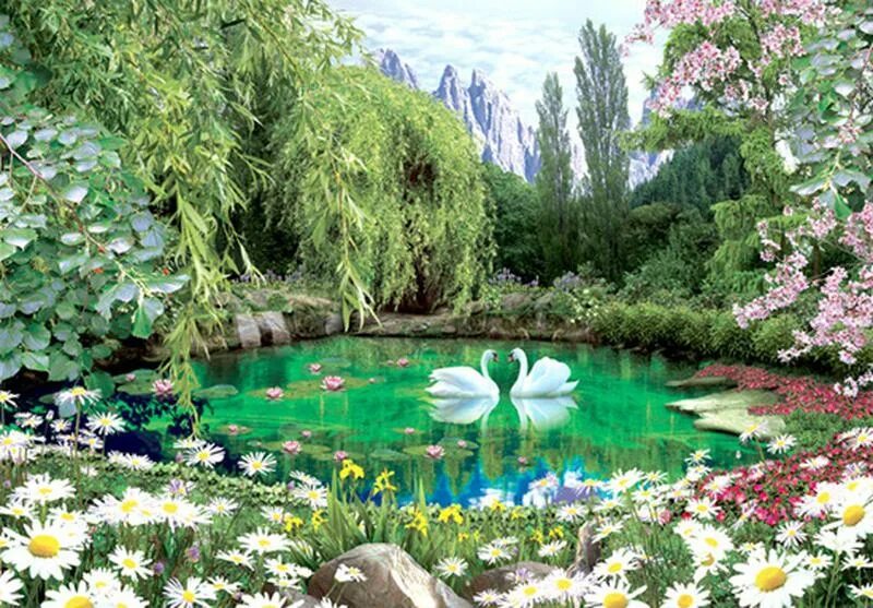 Схема солнечного пруда. Солнечная электростанция солнечный пруд. Камыш гамбург. Солнечный пруд томск. Солнечные пруды.