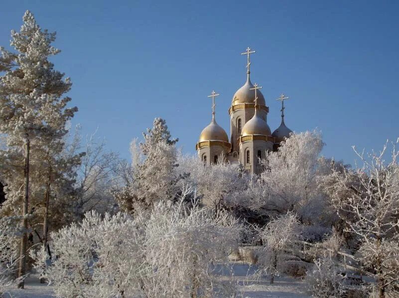Благословенного года. Благословенного года