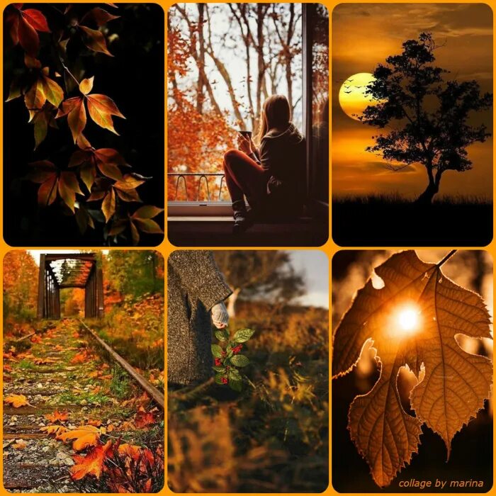 Осень в душе человека. Осенние размышления. Осенние раздумья. Душа осени. Осень в душе.