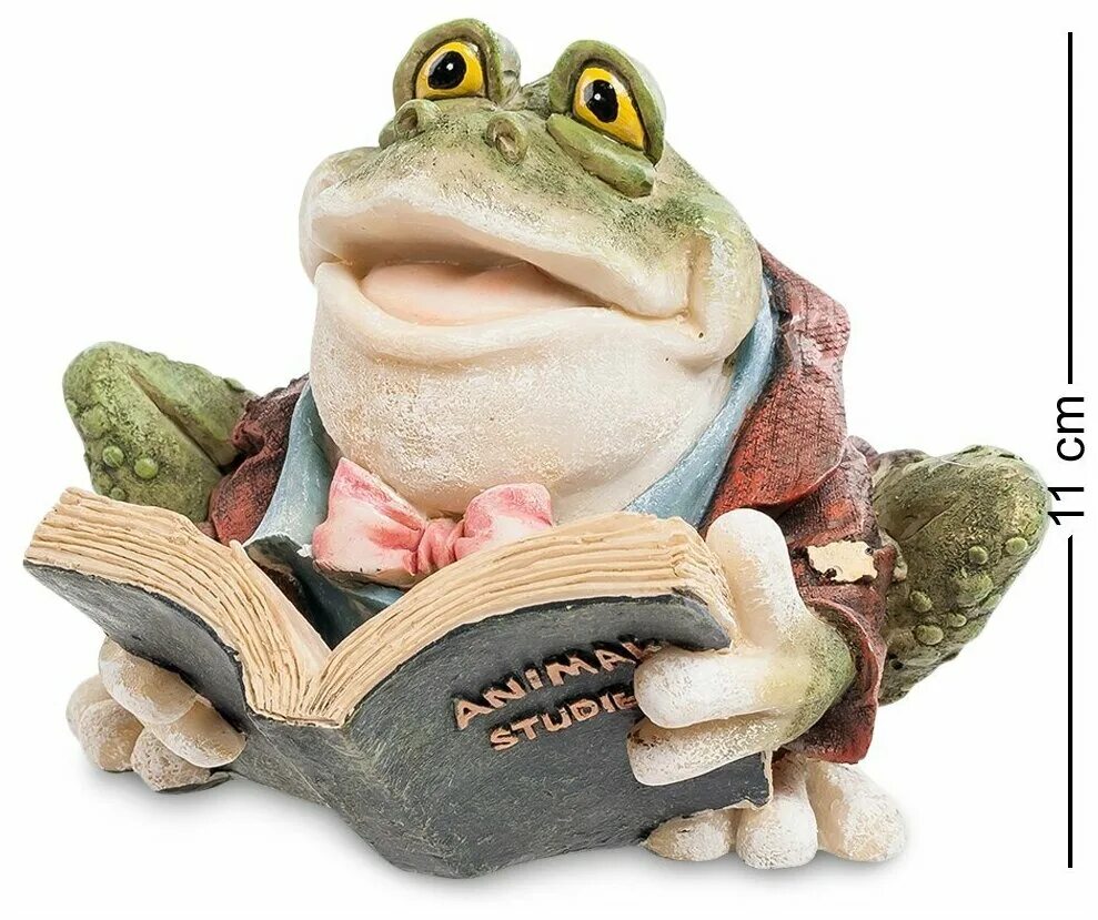 жаба ученый. ученая жаба. умная лягушка. доктор лягушечка. ученая жаба.